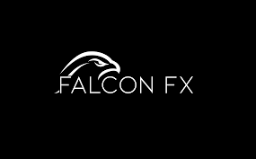 Falcon FX Pro complete course